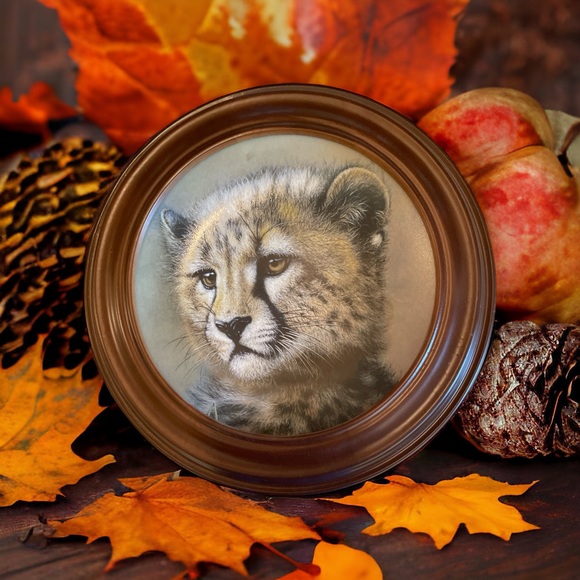 Princeton Gallery CHEETAH CUB Porcelain LTD Edition Plate - Picture 1 of 4